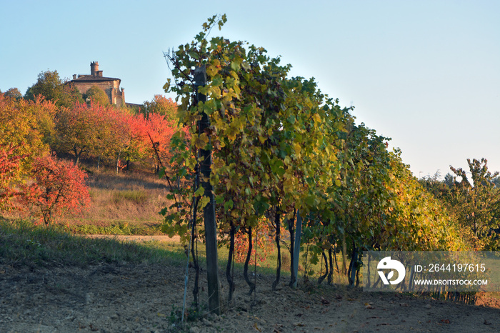 意大利皮埃蒙特联合国教科文组织世界遗产Langhe Roero Monferrato丰富多彩的葡萄园景观