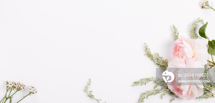 Flowers composition. Frame made of pink rose flowers on white background. Flat lay, top view