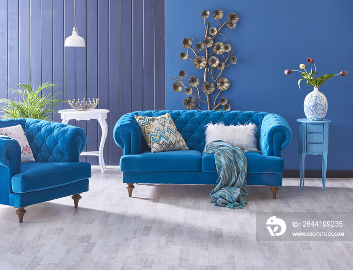 蓝色沙发和经典客厅蓝色细节