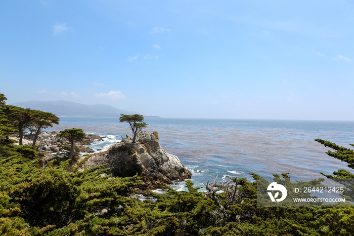 海景