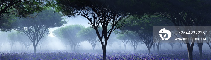 Blooming prairie, Trees in the fog, morning in the park on blooming land, 3D rendering