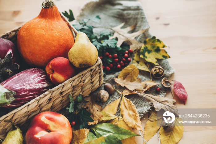 beautiful autumn pumpkin and vegetables in basket and colorful leaves with acorns and nuts on wooden