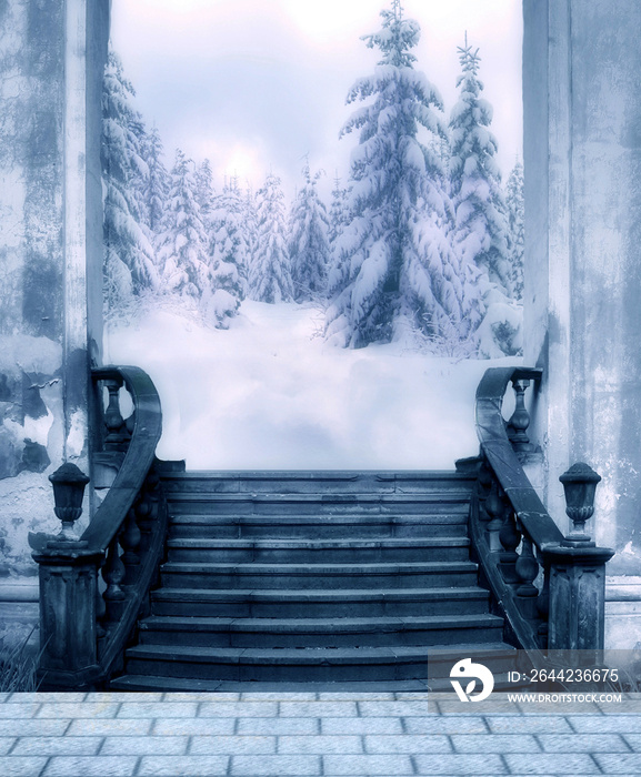 illustration of stone stairs leading to a snowy place