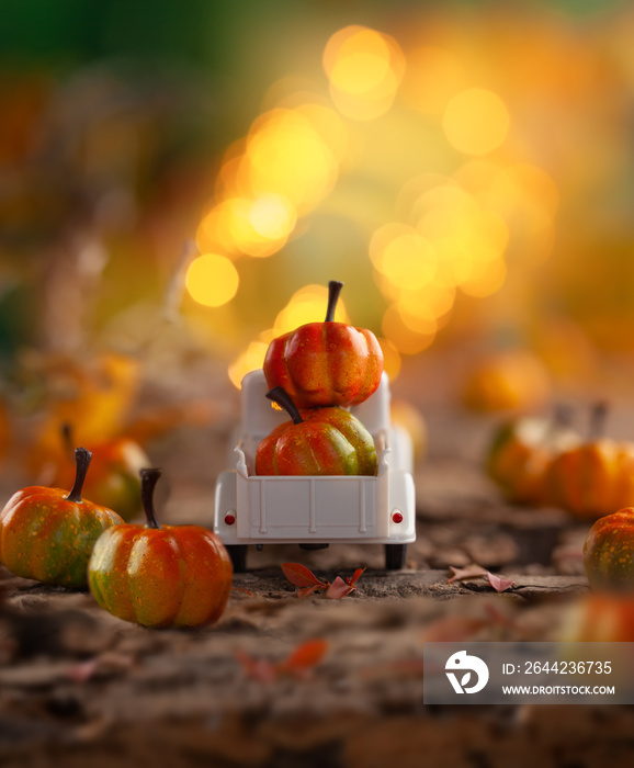 White retro truck with pumpkins in forest with festive bokeh background. Concept of Thanksgiving day