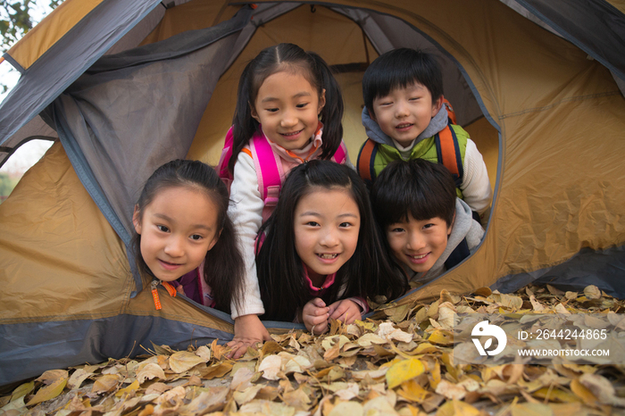 小学生在户外露营