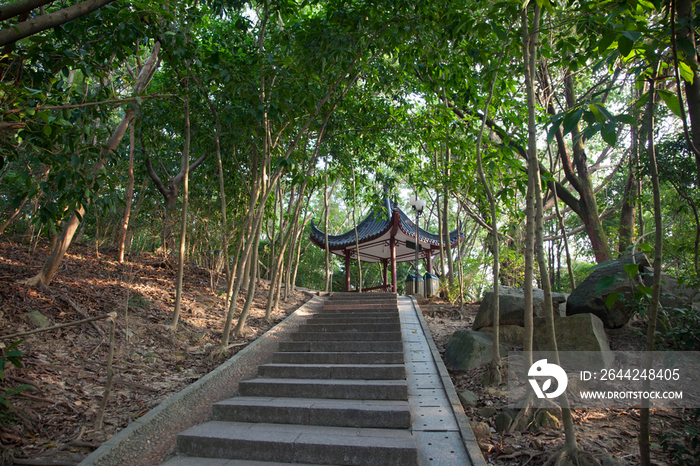 广东省深圳莲花山公园