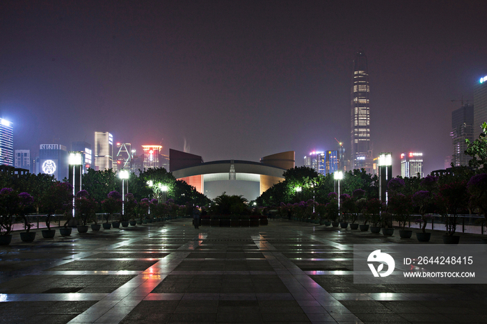 广东省深圳莲花山夜景