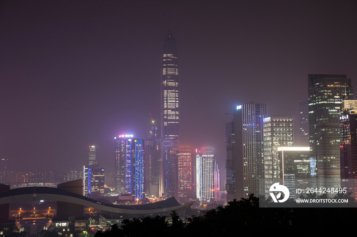 广东省深圳莲花山夜景