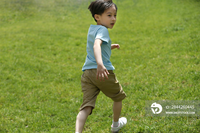 小男孩在草地上玩耍