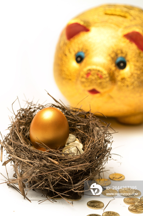 金猪存钱罐和鸟巢里的金币金蛋