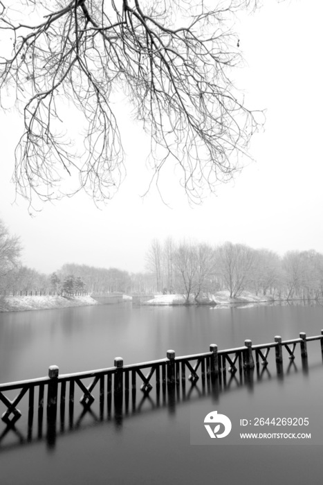 下雪后的湖边风景