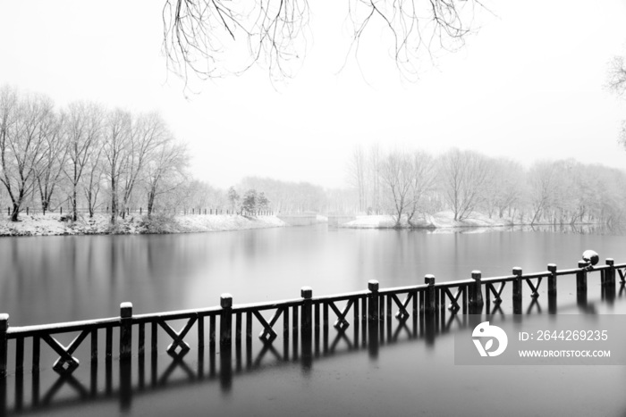 下雪后的湖边风景