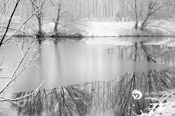 下雪后的湖边风景