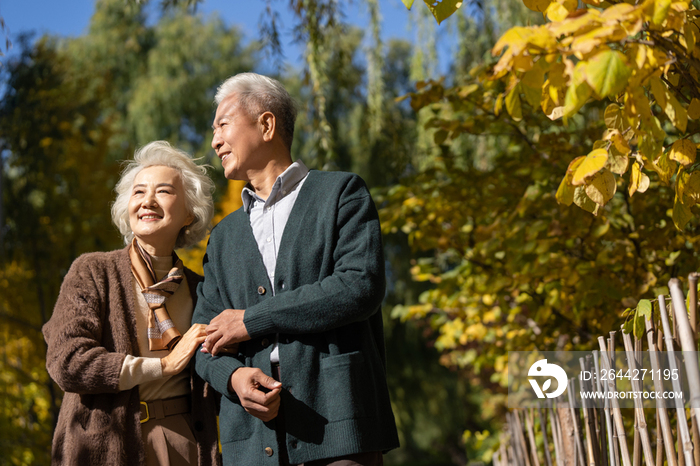 户外幸福的老年夫妇散步