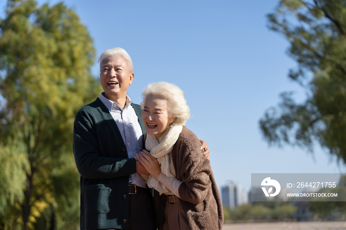 户外幸福的老年夫妇