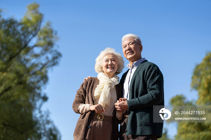 户外幸福的老年夫妇