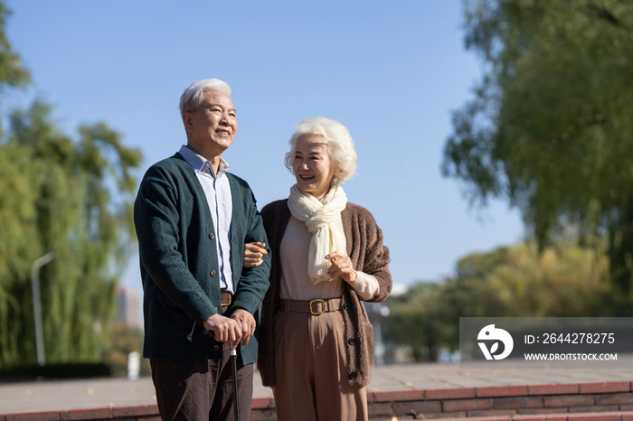 户外幸福的老年夫妇