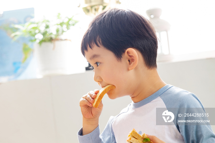 幼儿园小朋友用餐