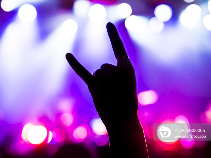 cheering crowd at a rock concert