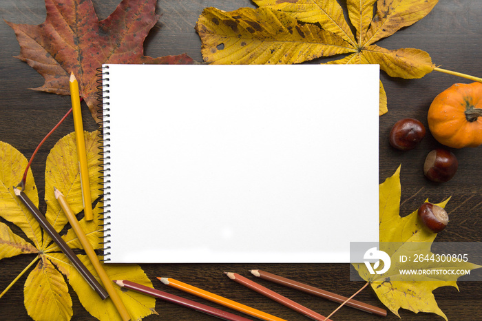 Autumn composition with empty album and fallen leaves