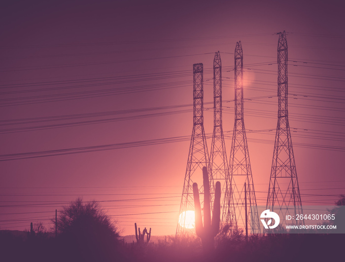 Power line poles running through the desert at Sunset.