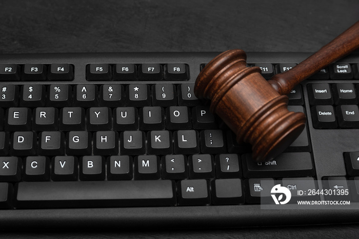 Judge gavel on computer keyboard. Internet auction. Legal liability on the Internet