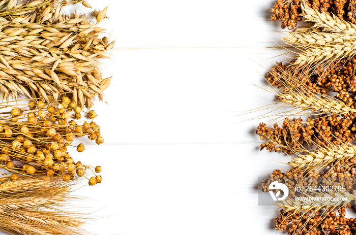 Dried ears of wheat, oats and other grains lie on a white background wood