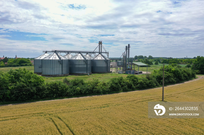 Agricultural silos on a farm, photos from above with a drone. Industrial agricultural granary, processing plant, elevator dryer, storage and drying of cereals, wheat, corn, soybeans, sunflowers.