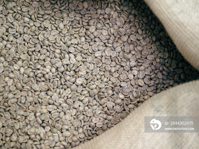 group organic raw green arabica coffee beans from latin america in sackcloth