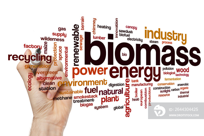 Biomass word cloud