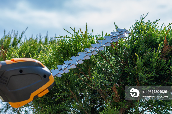a compact cordless electric hedge trimmer with zero emissions, portable light tool for cutting branches in garden, trimming green hedges and bushes, working during a sunny summer day under blue sky