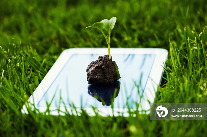 a touch screen of smartphone,tablet,cell phone with seedling growing up on screen over green grass. abstract background to green communication technology concept.