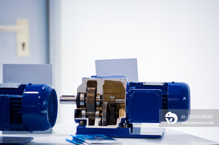 Worm gear units. Sectional view of the gearbox