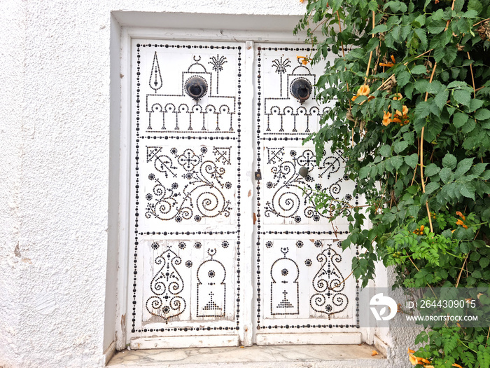 A typical Tunisian ornamental door