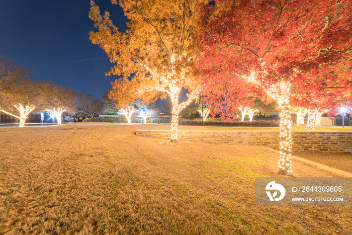 Christmas and New Year celebration lighting at public park near Dallas, Texas, USA. Beautiful Xmas decoration illumined string led on colorful fall foliage trees background.