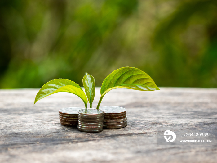 Ideas for Saving Money and Economic Growth The saplings that grow on piles of coins have a natural backdrop.