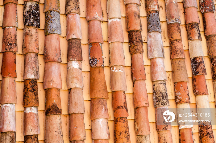 Old clay roof tiles in Toledo, Spain