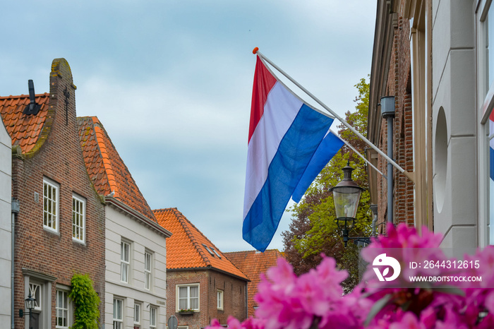 Traditional birthday celebration of King of the Netherlands Willem-Alexander, King’s Day national holiday on April 27, Dutch flag and spring blossom of pink Rhododendron plant