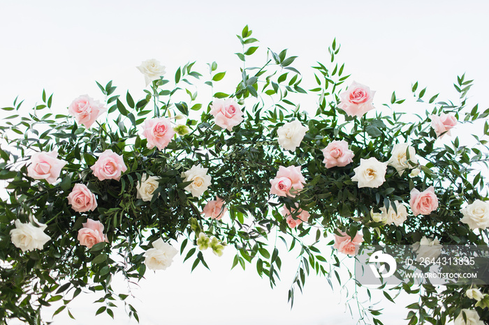 Wedding ceremony arch arrangement decoration. Greens and roses in pink pastel color. Isolated on white background.