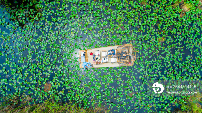 Airboat tour in Everglades National Park. Miami. Florida. USA.