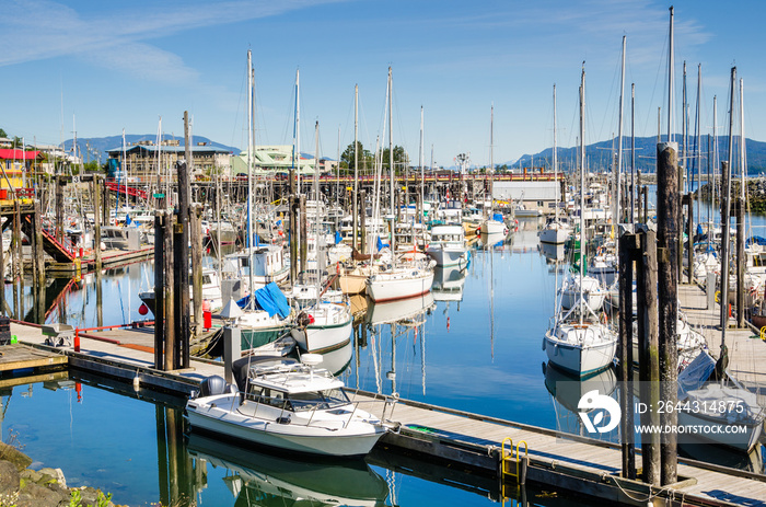 Harbour with Boats Tied up to Jetties on a Clear Summer Morning. Campbell River, Vancouver Island, BC, Canada.