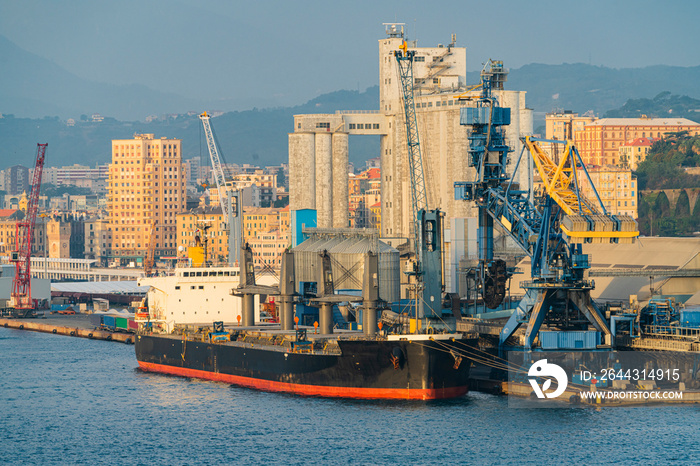 Port of Savona-Vado, bulk carrier in dry bulk terminal. Italy