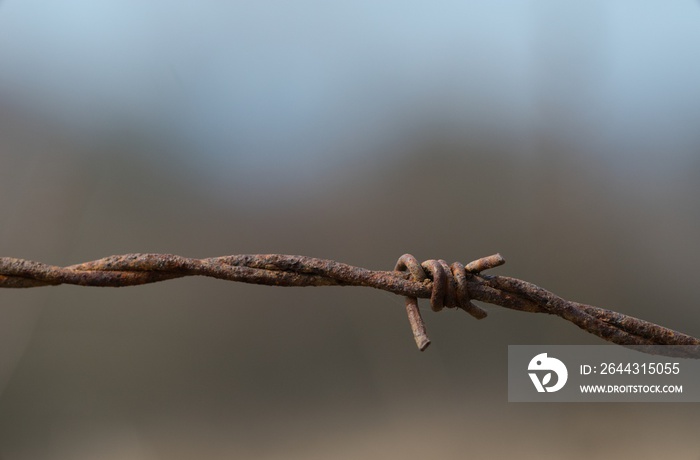 Barbed wire across the road, war zone Ukraine in the background