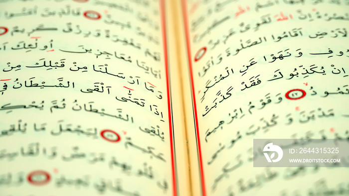 Quran pages with Arabic scripts