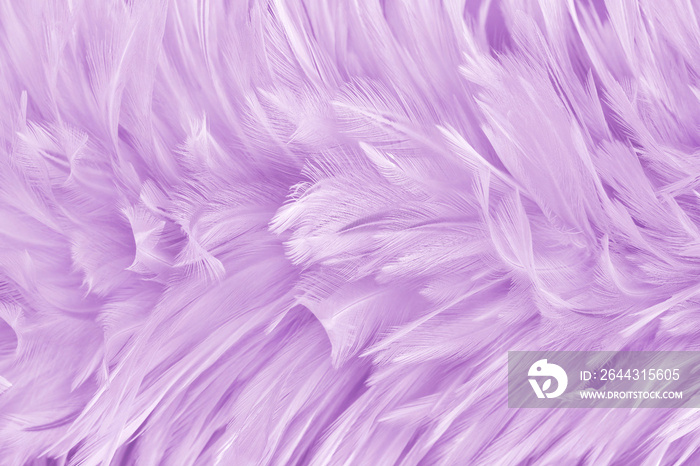 Beautiful purple pastel bird feathers pattern texture background.