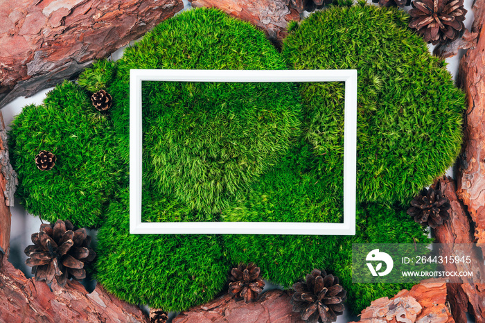 Top view of white frame with copy space on natural dark green moss background decorated with pinecone and bark. Zero waste and eco-conscious forest concept. Place for text.