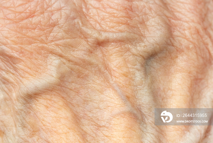 Texture of an old wrinkled skin and veins of elderly human. Macro background.