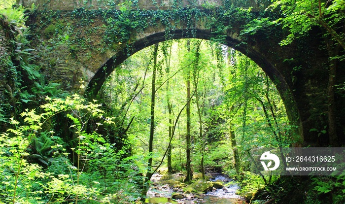 Puente de Caaveiro en as Fragas do Eume, Galicia