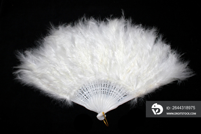 Vintage White Hand Feather Fan on Black Background