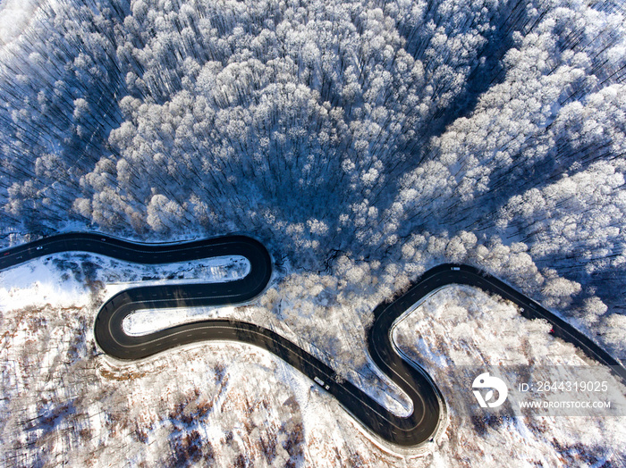 Cars on road in winter with snow covered trees aerial view